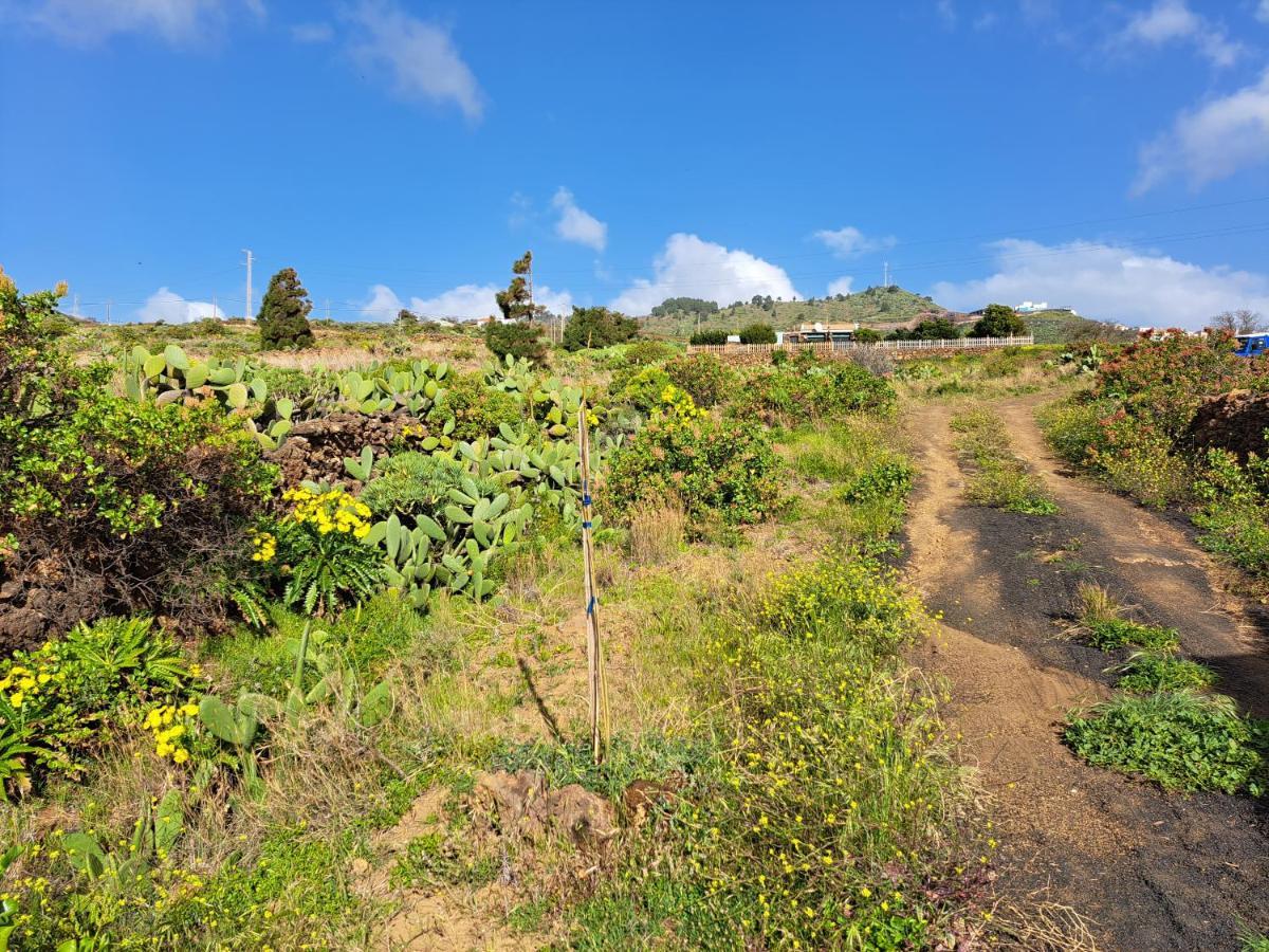 Las Casitas De Pao El Pinar  Luaran gambar