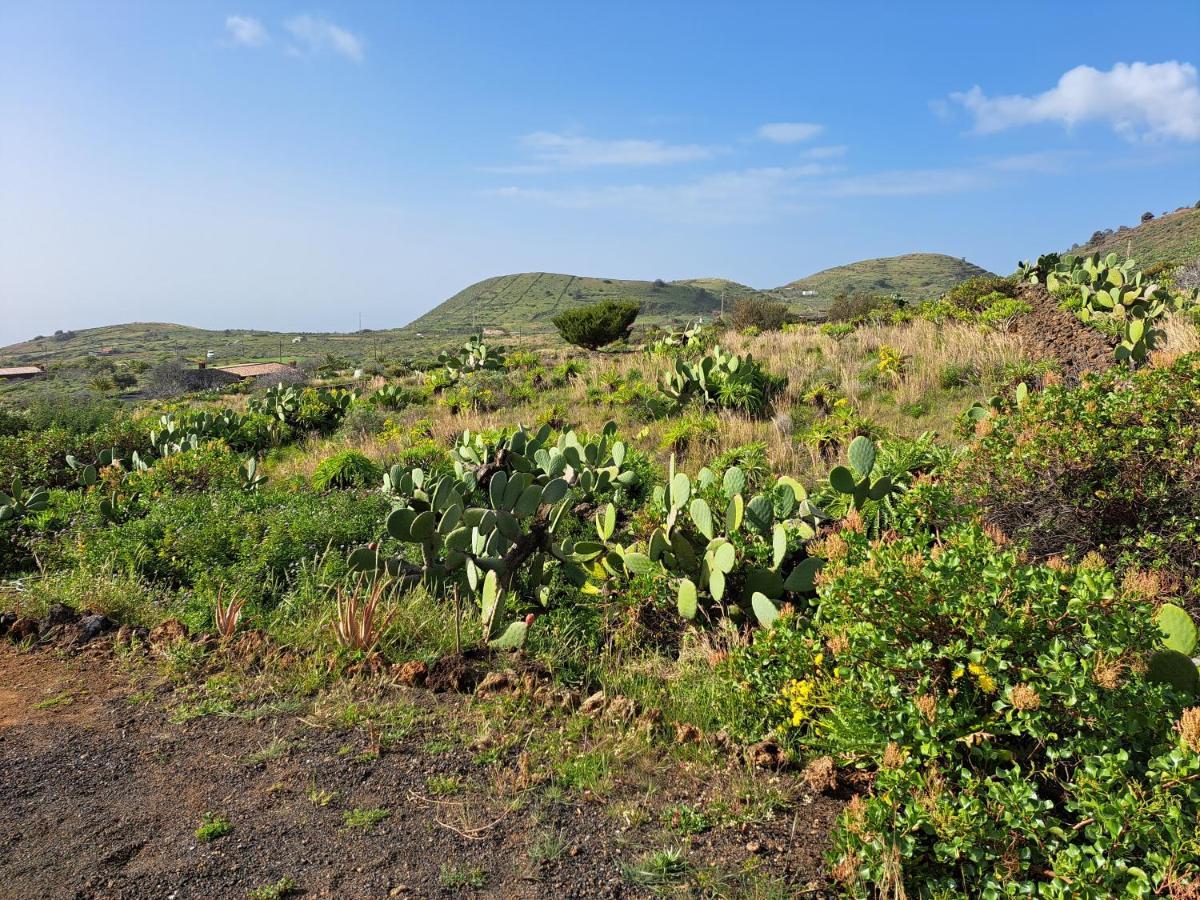 Las Casitas De Pao El Pinar  Luaran gambar